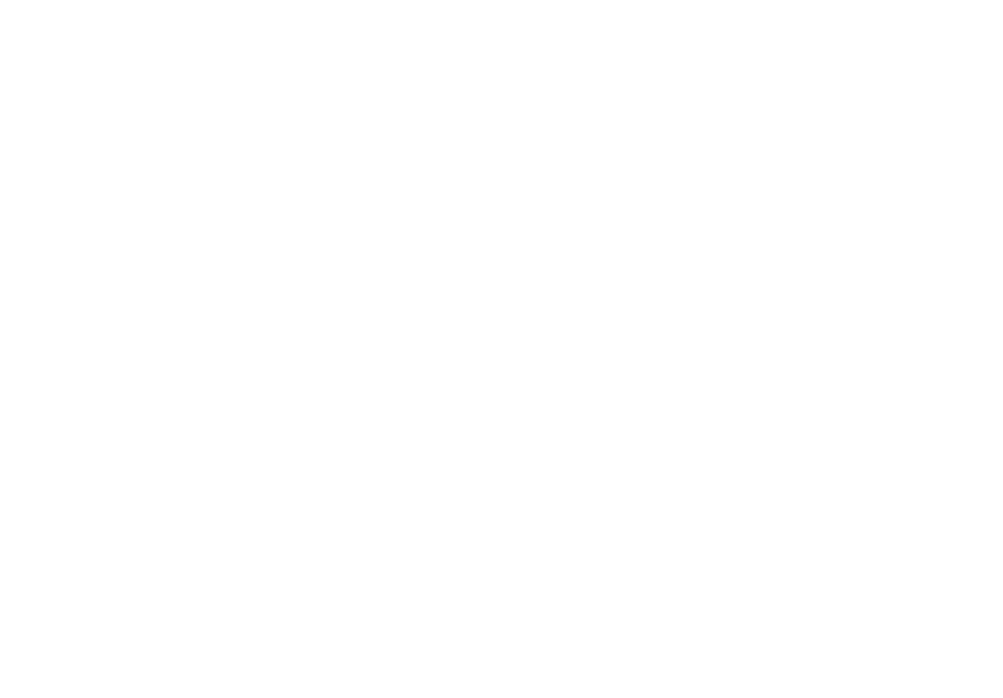 Vertige